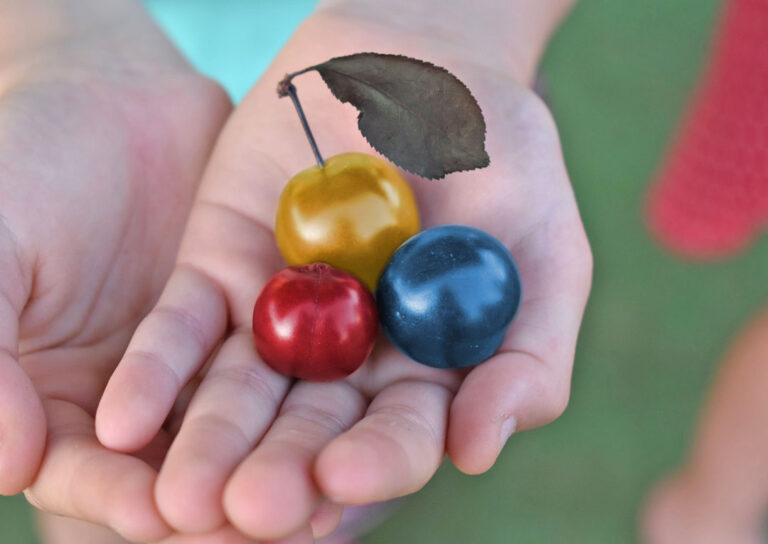 Web Studio Agency vede i frutti di questi ultimi 3 mesi di lavoro